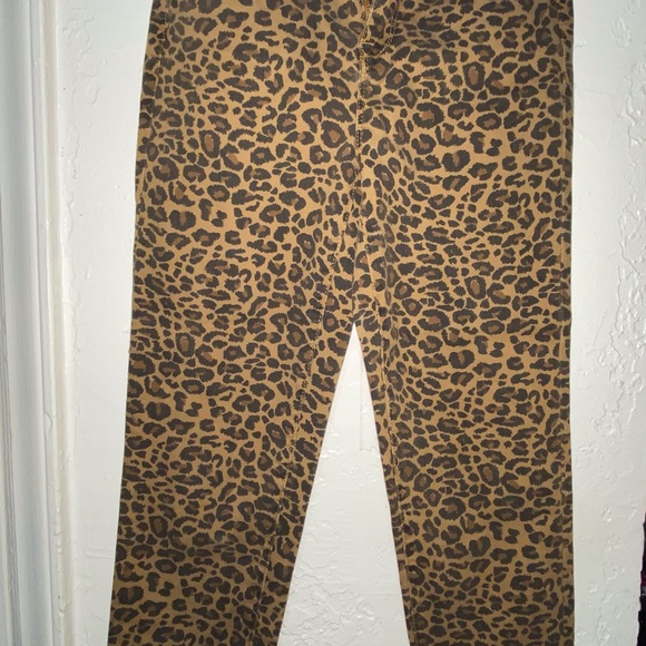 Leopard Print Pants - Picture 1 of 6